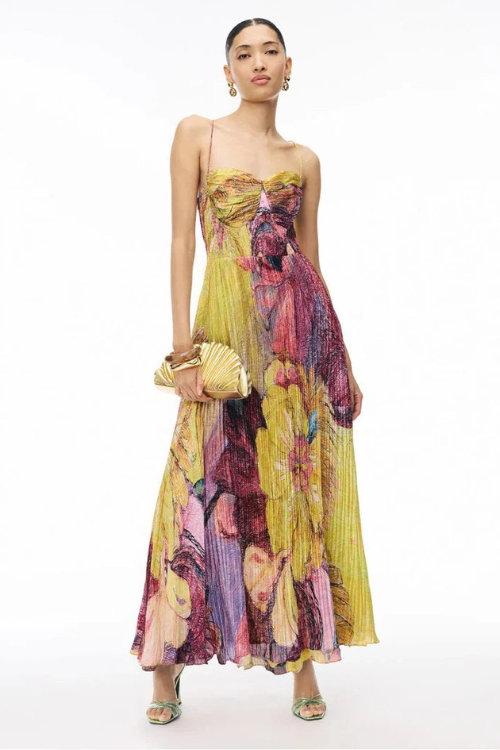 Ikat Essence Printed Maxi Dress
