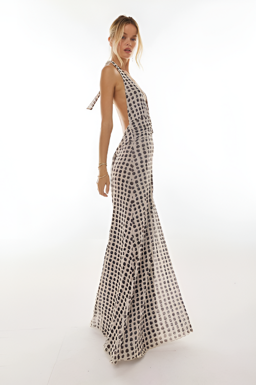 Camoni Polka Dot Flowy Diary Maxi Dress
