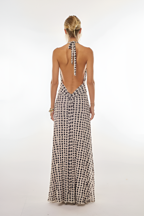 Camoni Polka Dot Flowy Diary Maxi Dress